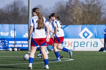 Bild 137 - F Hamburger SV 3 - Blau-Weiss 96 : Ergebnis: 5:1